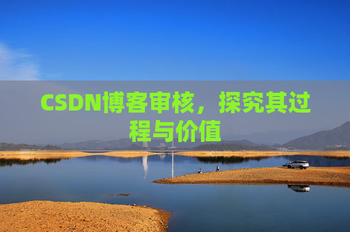 CSDN博客审核,探究其过程与价值